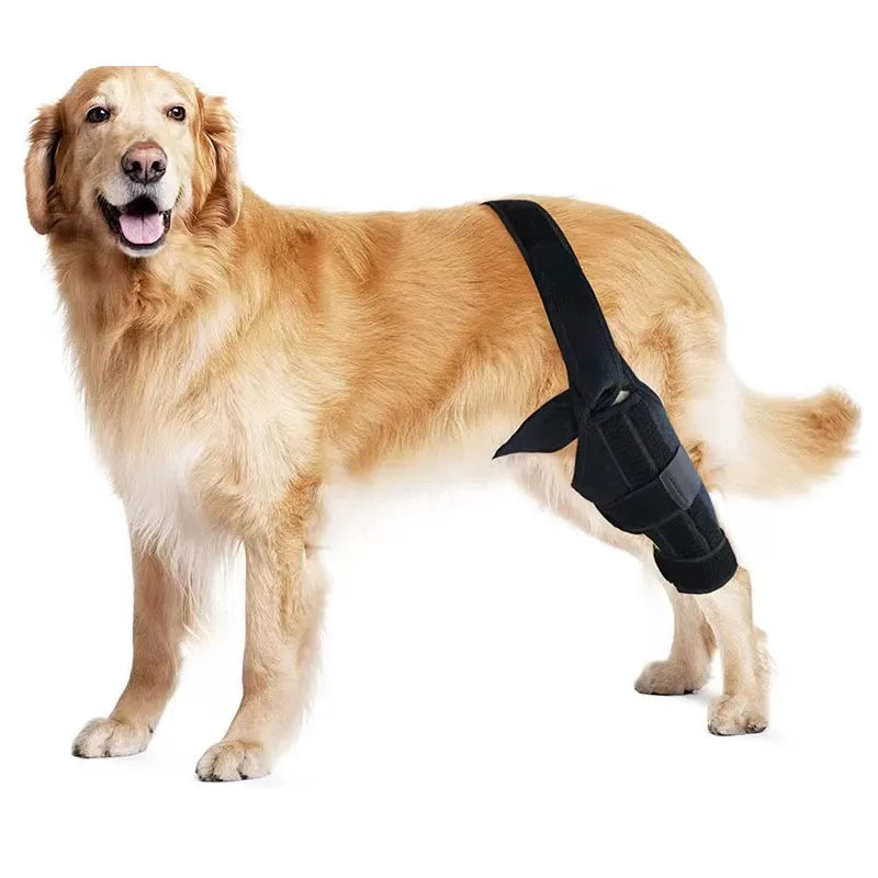 Dog Knee Brace – Adjustable Support for Cruciate Ligament & Joint Protection