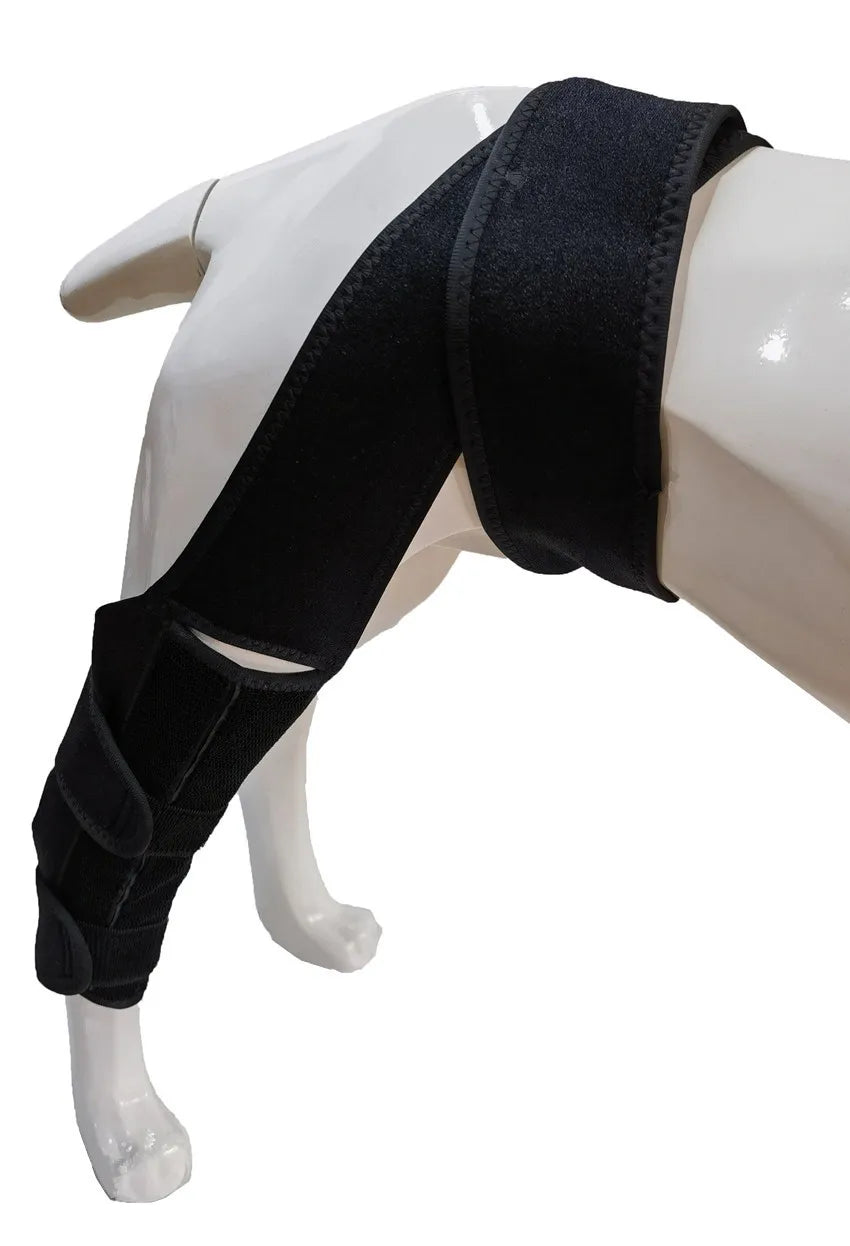 Dog Knee Brace – Adjustable Support for Cruciate Ligament & Joint Protection