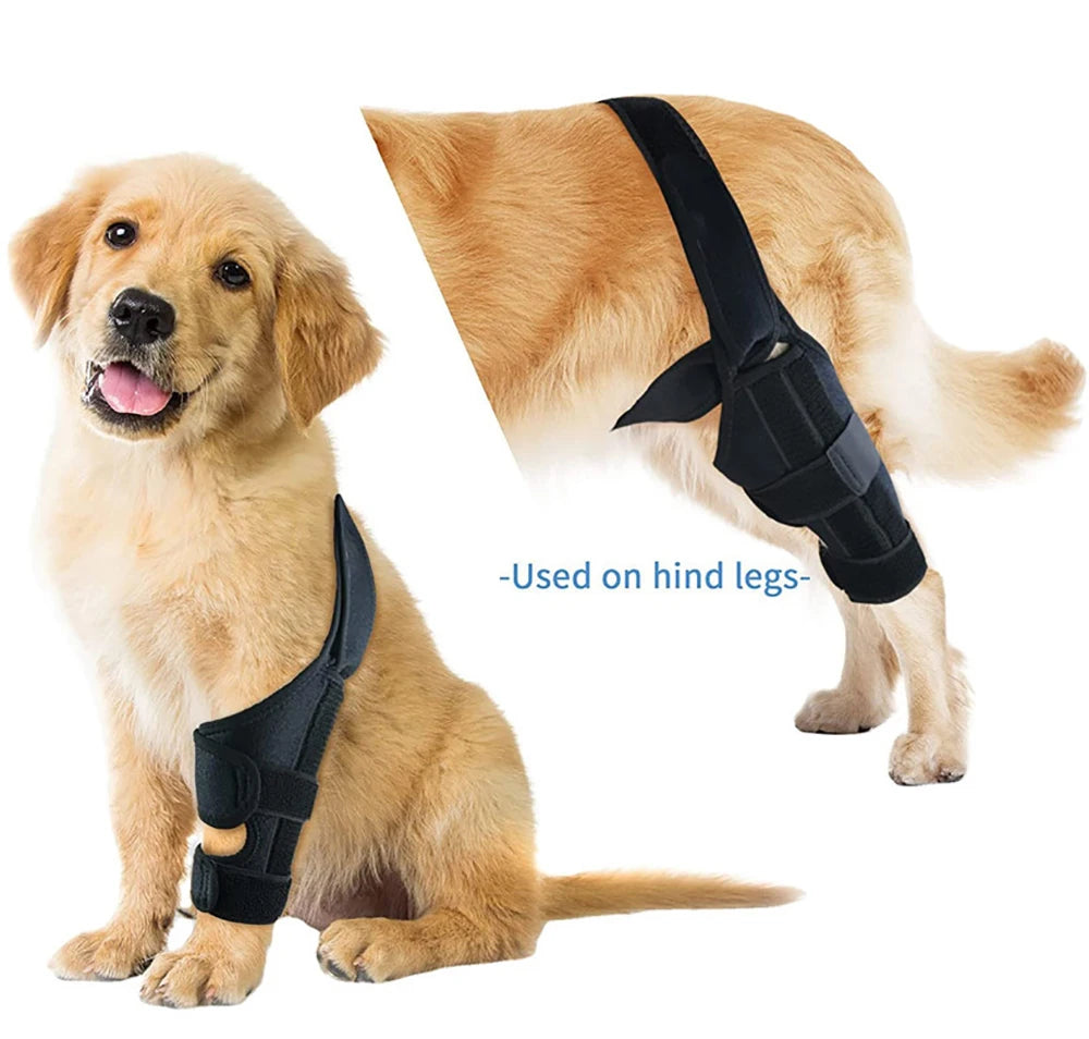 Dog Knee Brace – Adjustable Support for Cruciate Ligament & Joint Protection