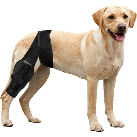 Dog Knee Brace – Adjustable Support for Cruciate Ligament & Joint Protection